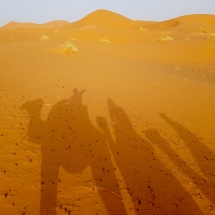 DORMIRE NRL DESERTO DORMIRE NRL DESERTO