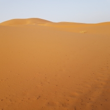 DORMIRE NRL DESERTO DORMIRE NRL DESERTO